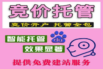 揭秘：竞价推广如何助力品牌在竞争中脱颖而出
